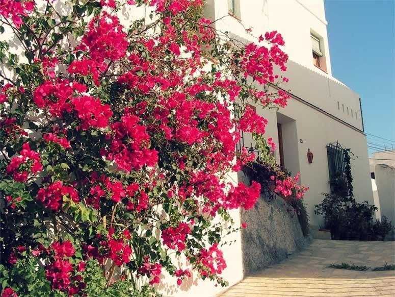 Appartement Jardines Del Mar Salobreña Extérieur photo